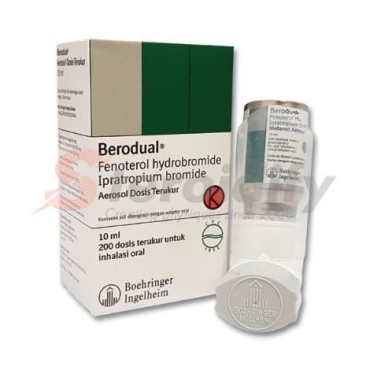 Berodual H Aerosol Boehringer Ingelheim